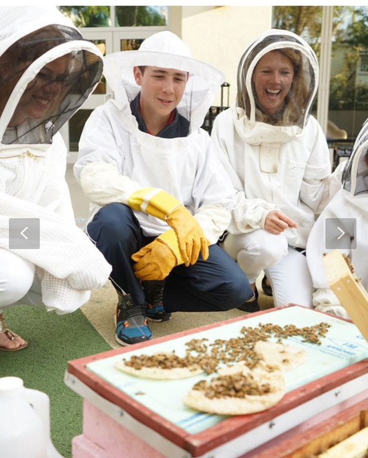 Runden Sie für die Biene -Ursache zusammen